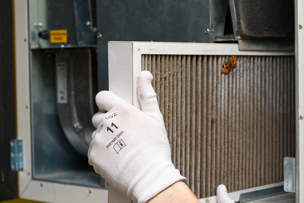 Best HVAC System Cleaning  in Greensboro, AL