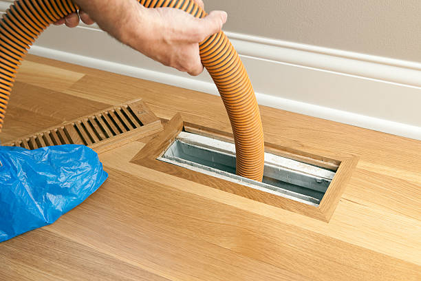 Best Affordable Air Duct Cleaning  in Greensboro, AL