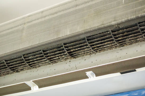 Affordable HVAC Duct Cleaning in Greensboro, AL